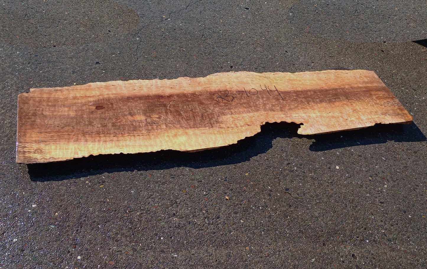 quilted maple slab | craft woods | DIY | river table | ma23-1044