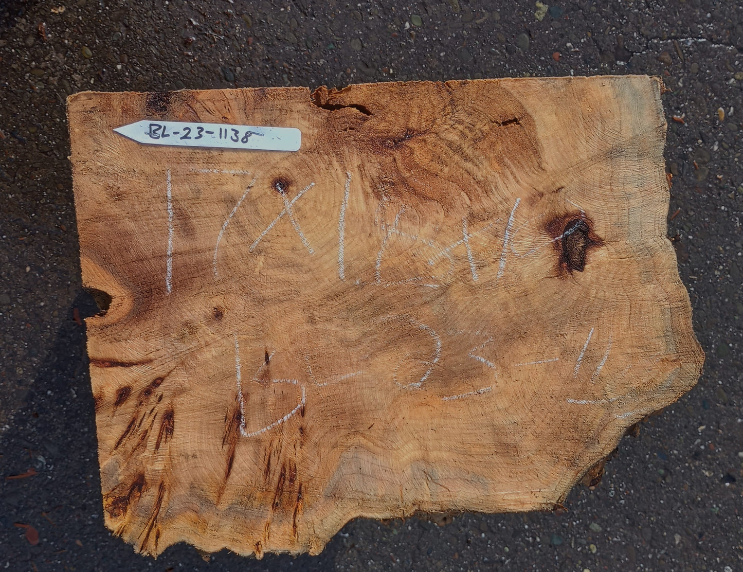 Maple burl | bowl blank | DIY | craft woods | wood turning | blma23-1138