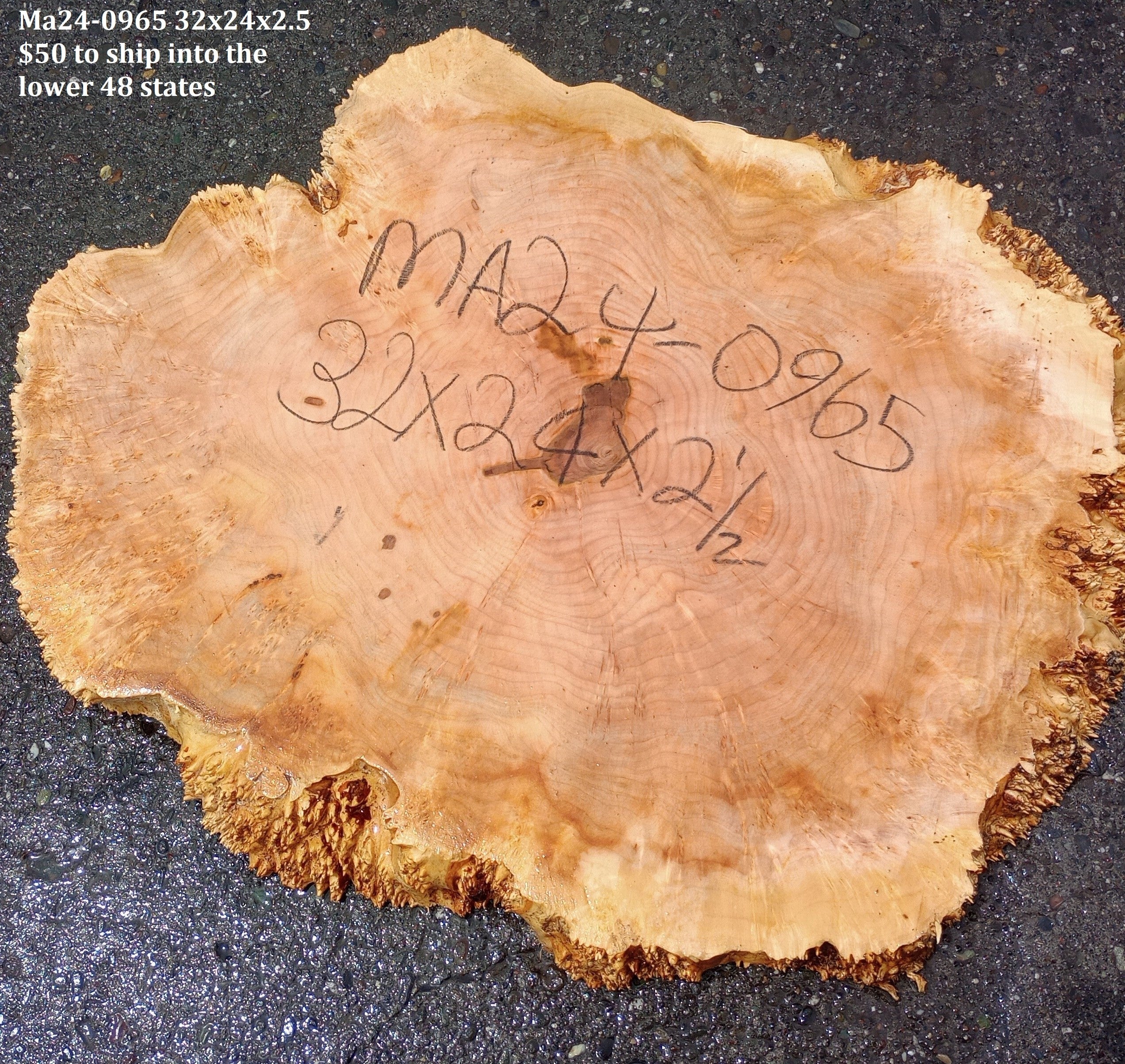 Maple Burl Slab Cookie Cut Craft Woods DIY River Table MA24