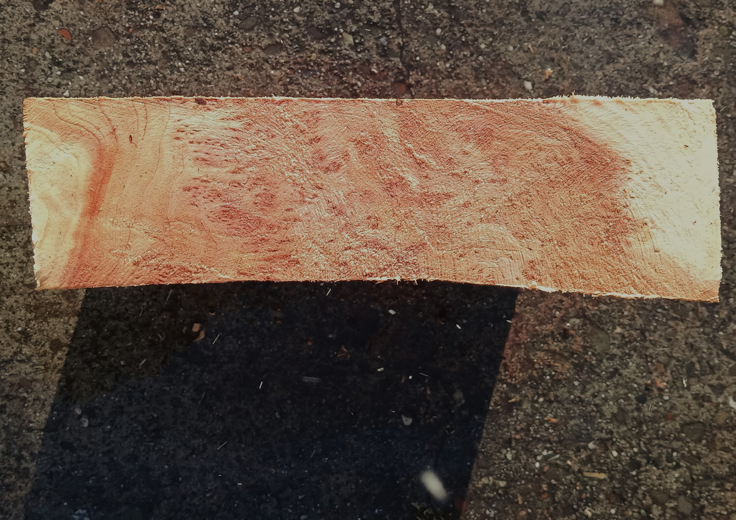 Redwood Burl | Turning block | Craft Wood | R24-1889