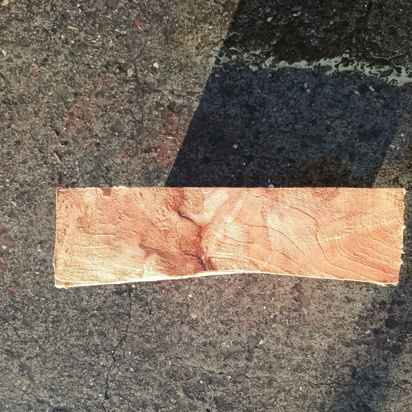 Redwood Burl | Turning block | Craft Wood | R24-1889