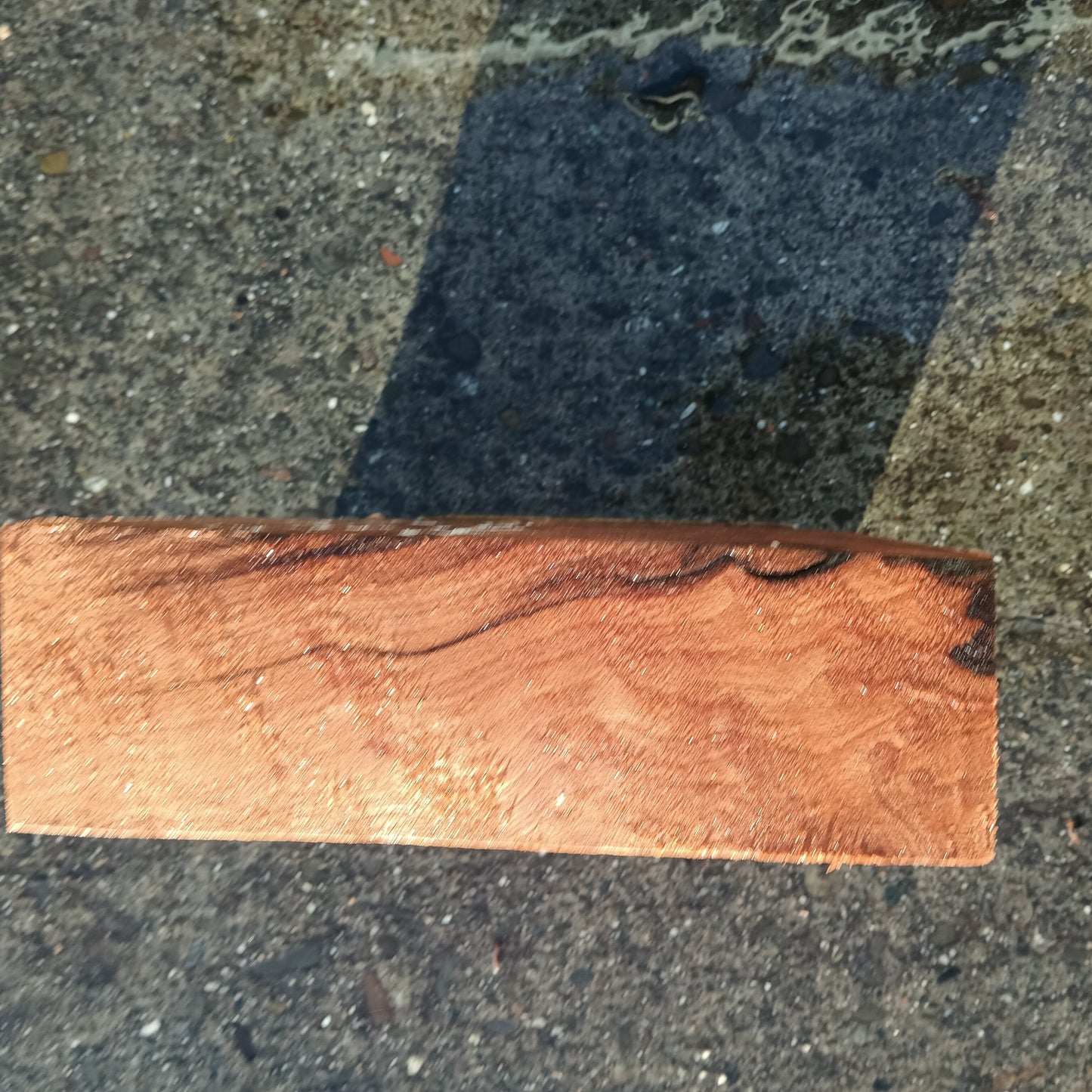 Redwood Burl Cap | Turning block | Craft Wood | R24-1892