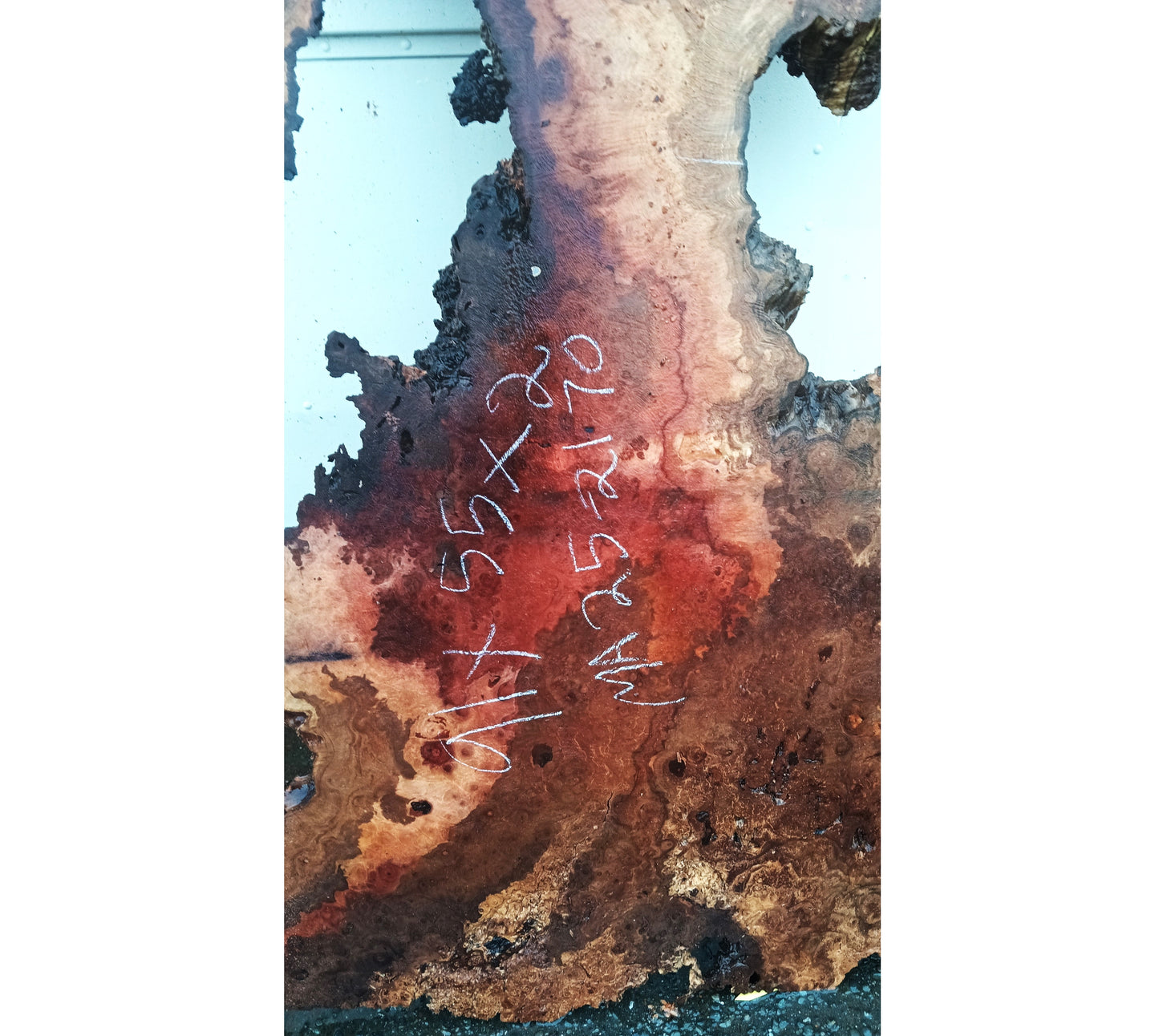 Maple Burl Slab | Live Edge | River Table | DIY | Ma25-2170