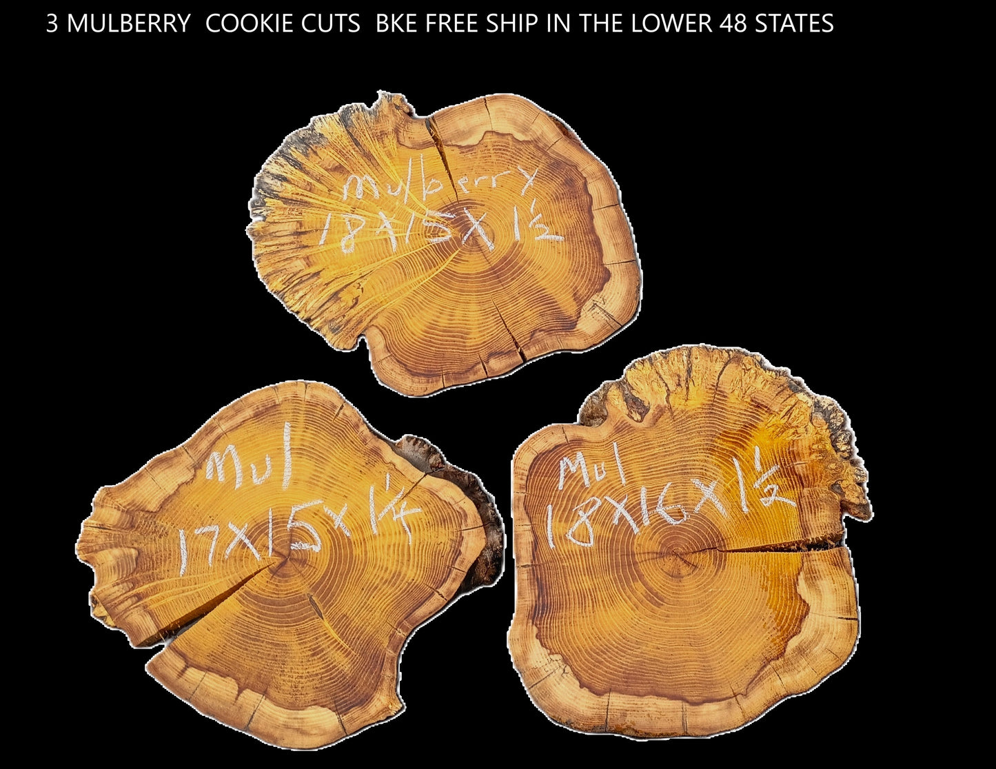 Mulberry Burl | Cookie Cuts | River Table | DIY |  MULL25-3cookie