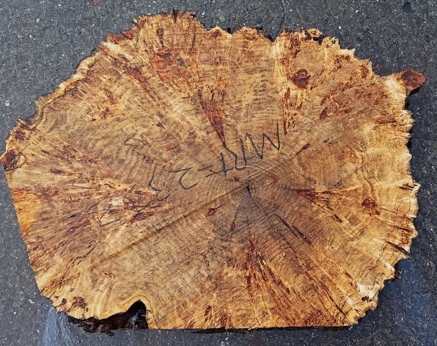 Myrtle Burl Slab | Live Edge | River Table | DIY | Mrt25-2333