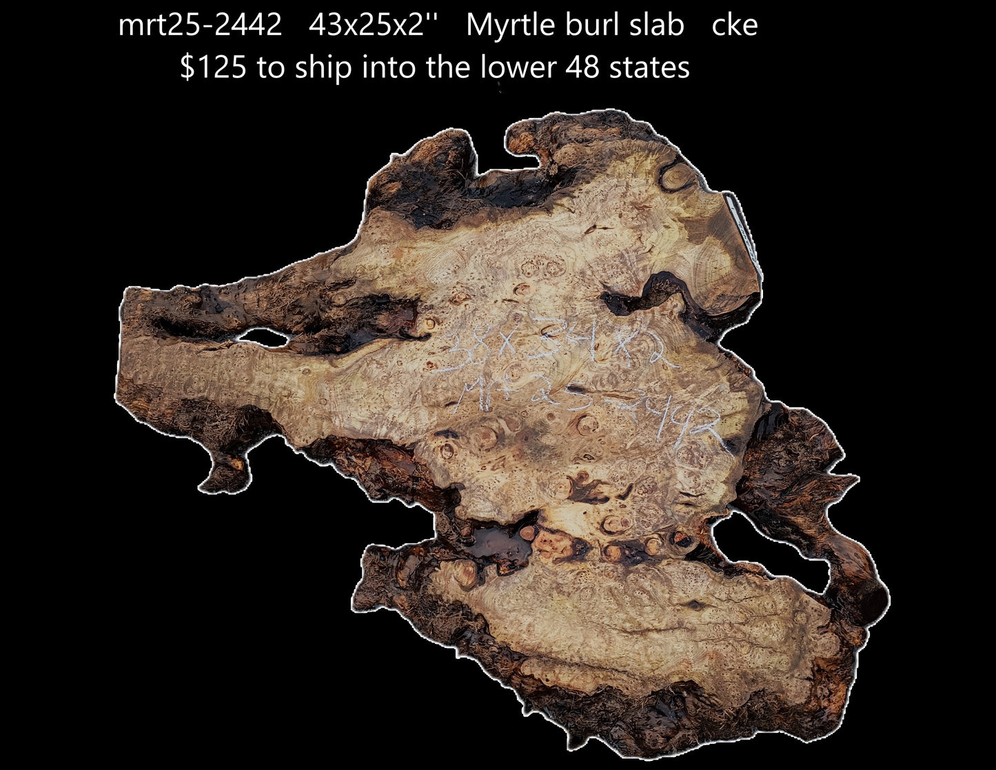 Myrtle Burl Slab | Live Edge | River Table | DIY | Mrt25-2442