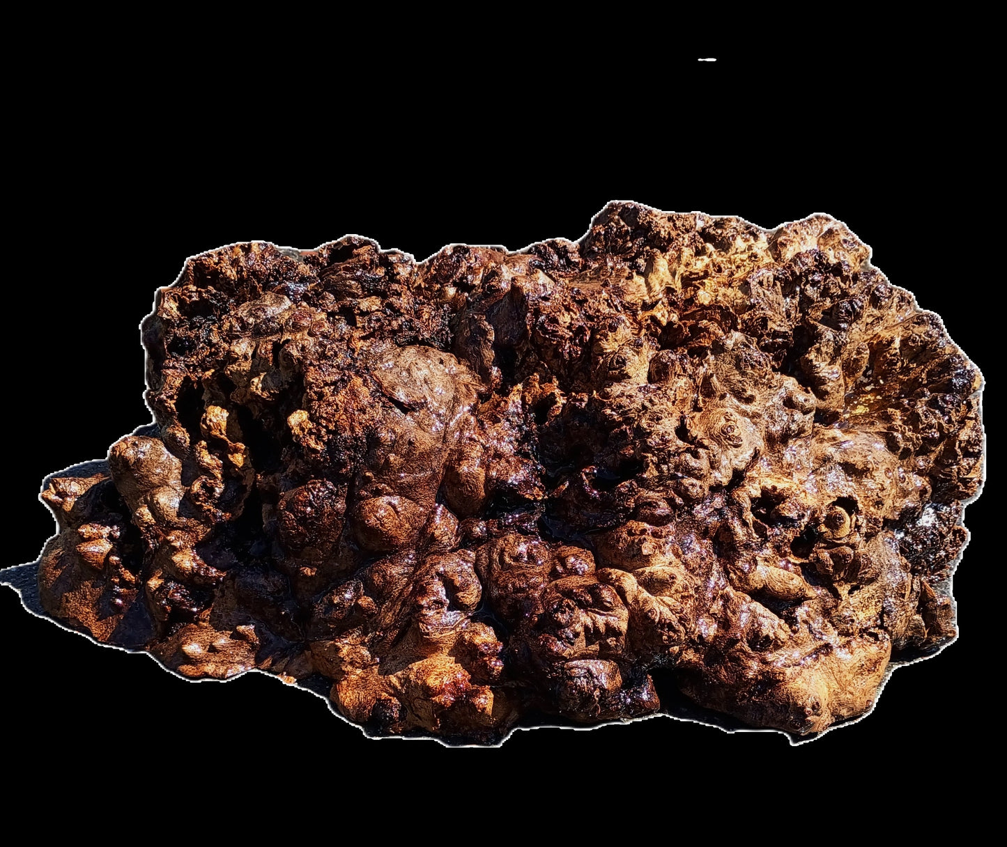 Maple Cap | Bowl Turning | Craft Wood | Pcap24-1958