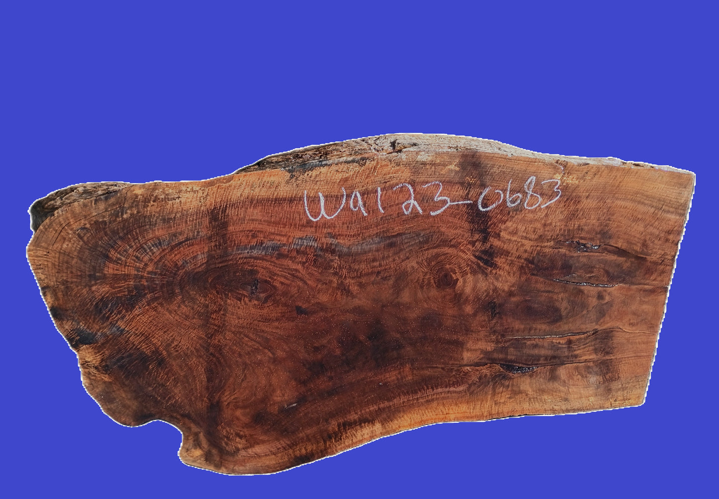 Curly Walnut Slab | DIY | Live Edge | River Table | Wal23-0683