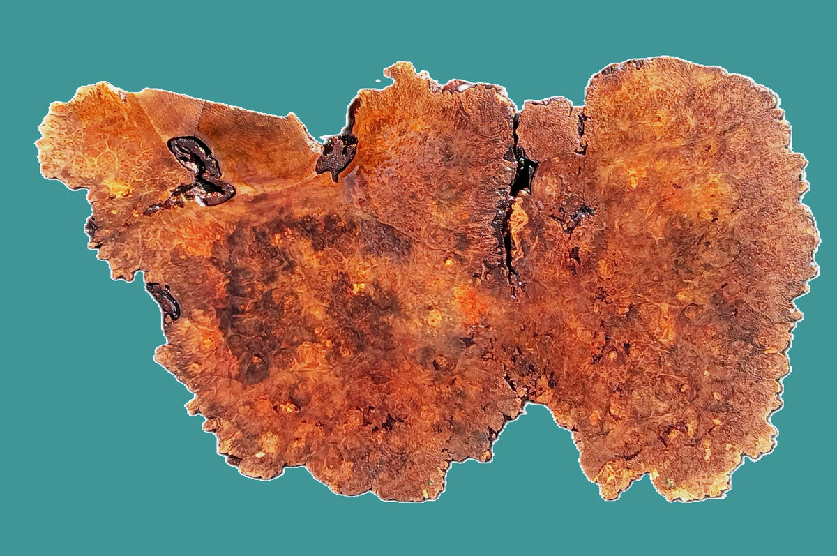 Maple Burl | Live Edge | River Table | DIY | Craft Wood | Ma26-3955