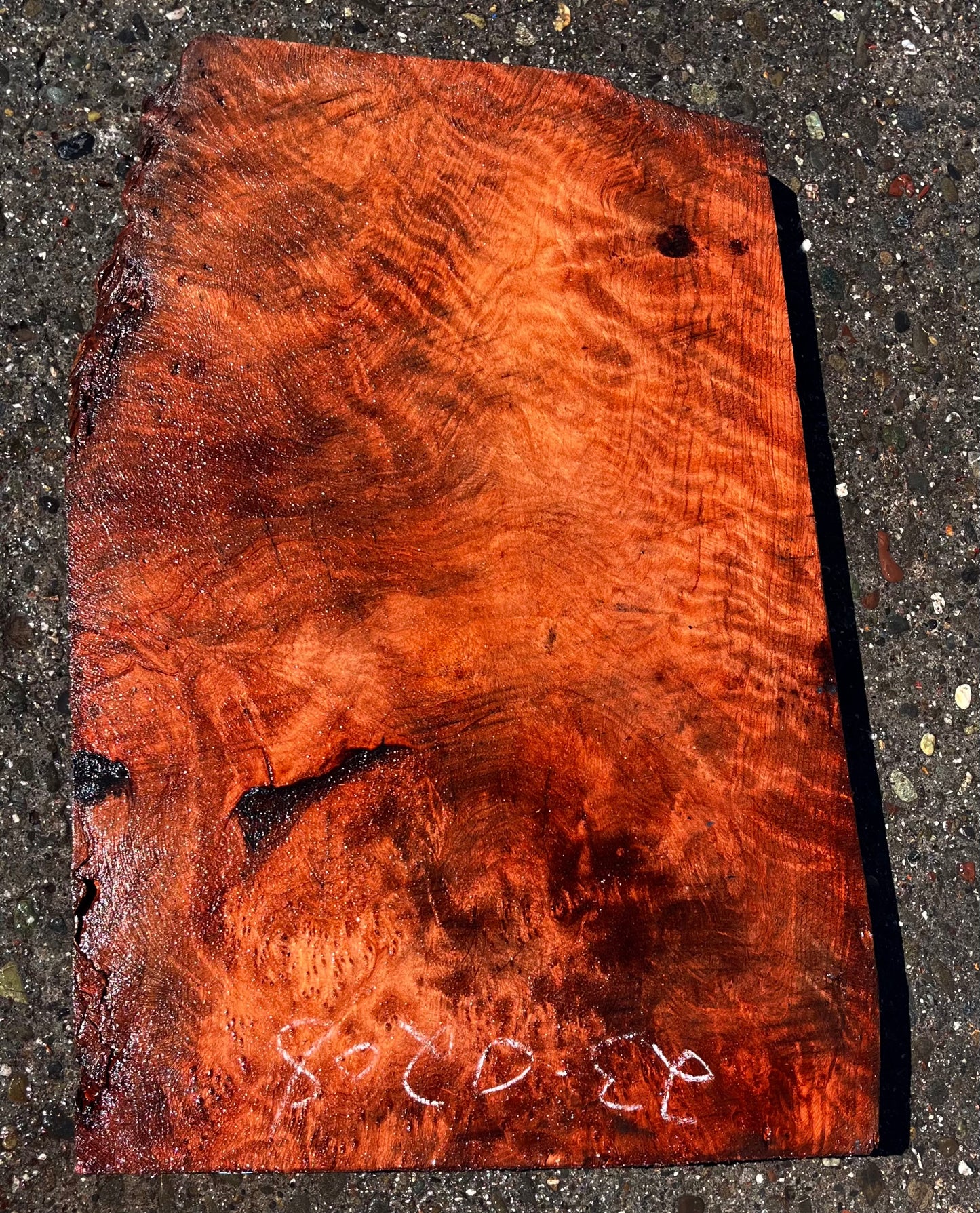 Quilted redwood | guitar blank | burl table | DIY crafts | g23-0208