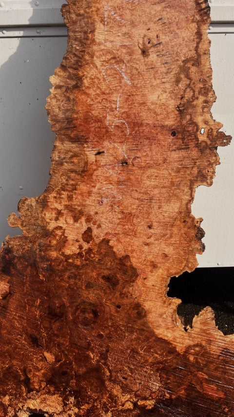 Maple Burl Slab | Live Edge | River Table | DIY | Ma25-2171