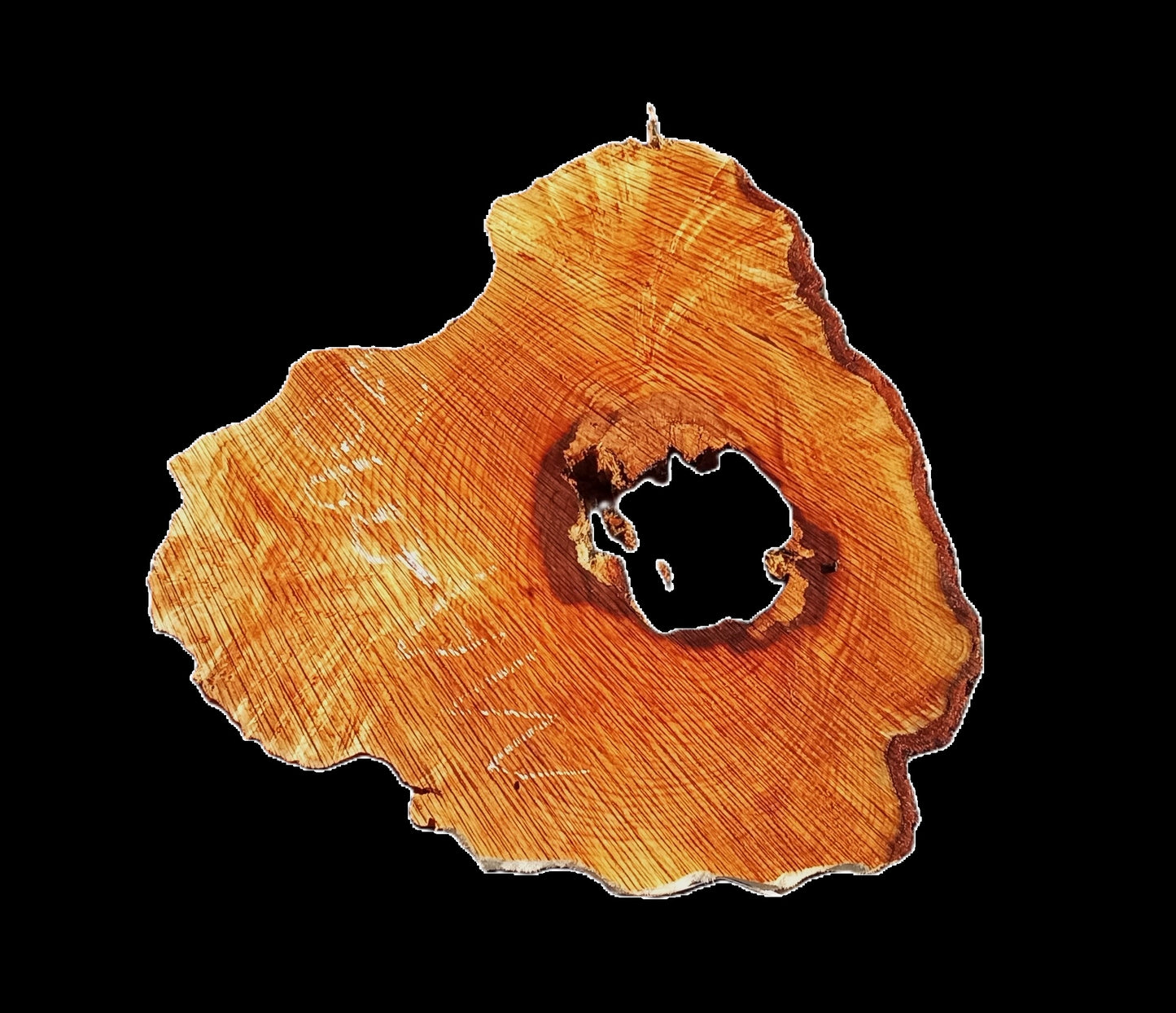 Maple Burl Slab | DIY Crafts | Craftwood | Burl Table | MA23-0905