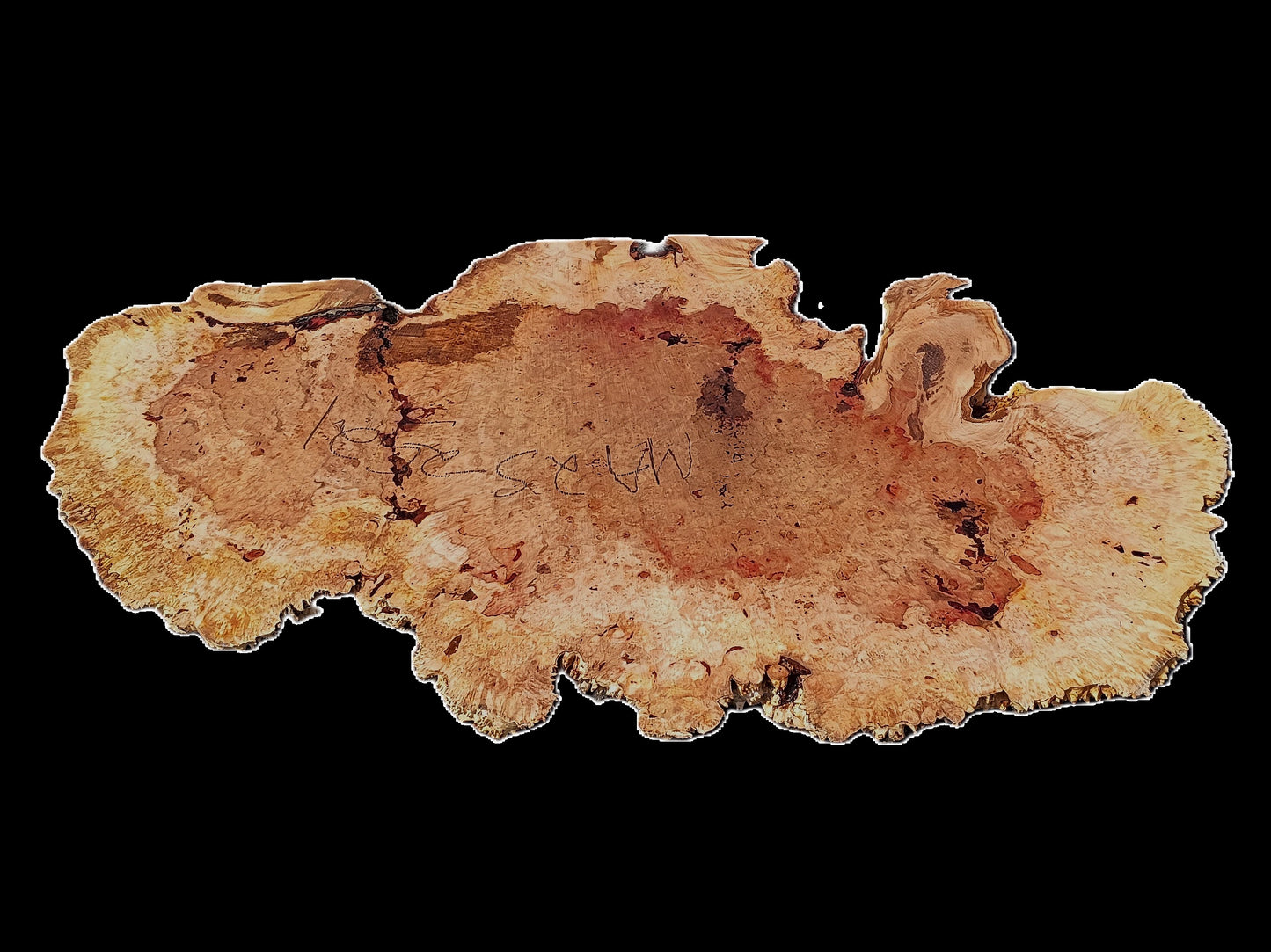 Maple Burl Slab | River Table | Headboard | Burl Table | DIY | MA25-2521