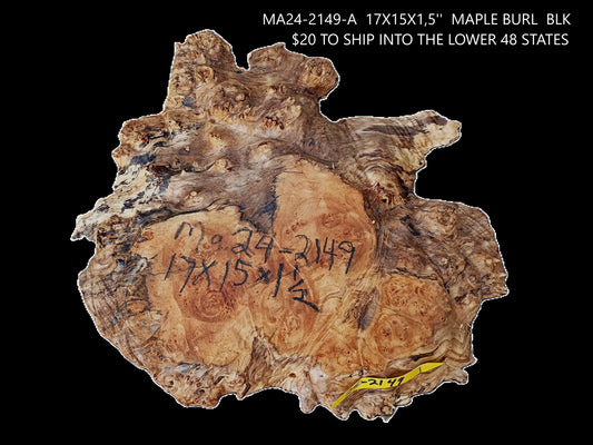 Maple Burl Slab | DIY | Craft Wood | Trouphy Mount | Ma25-2149