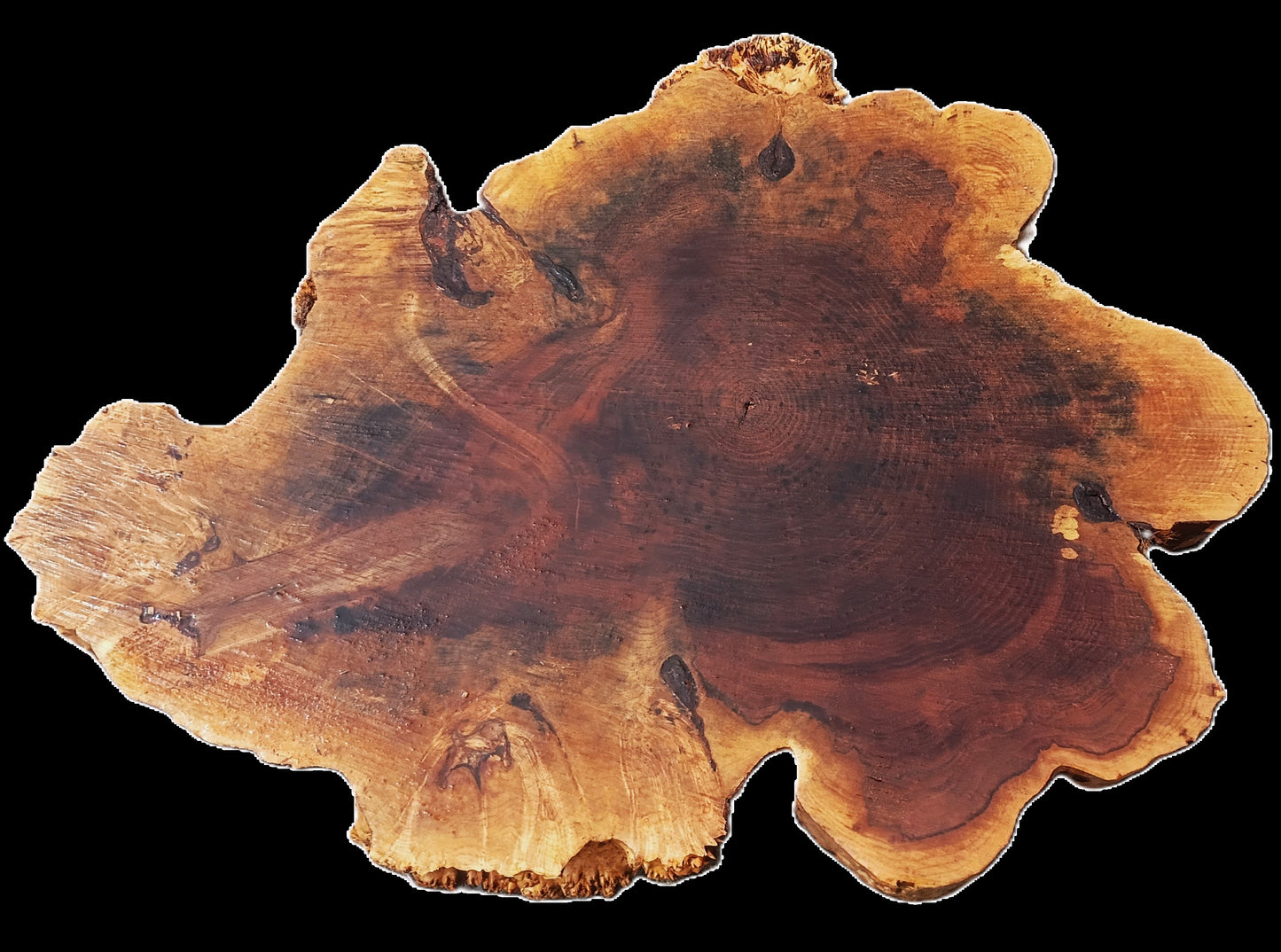 Maple Burl | Live Edge | River Table | DIY | Ma25-3164