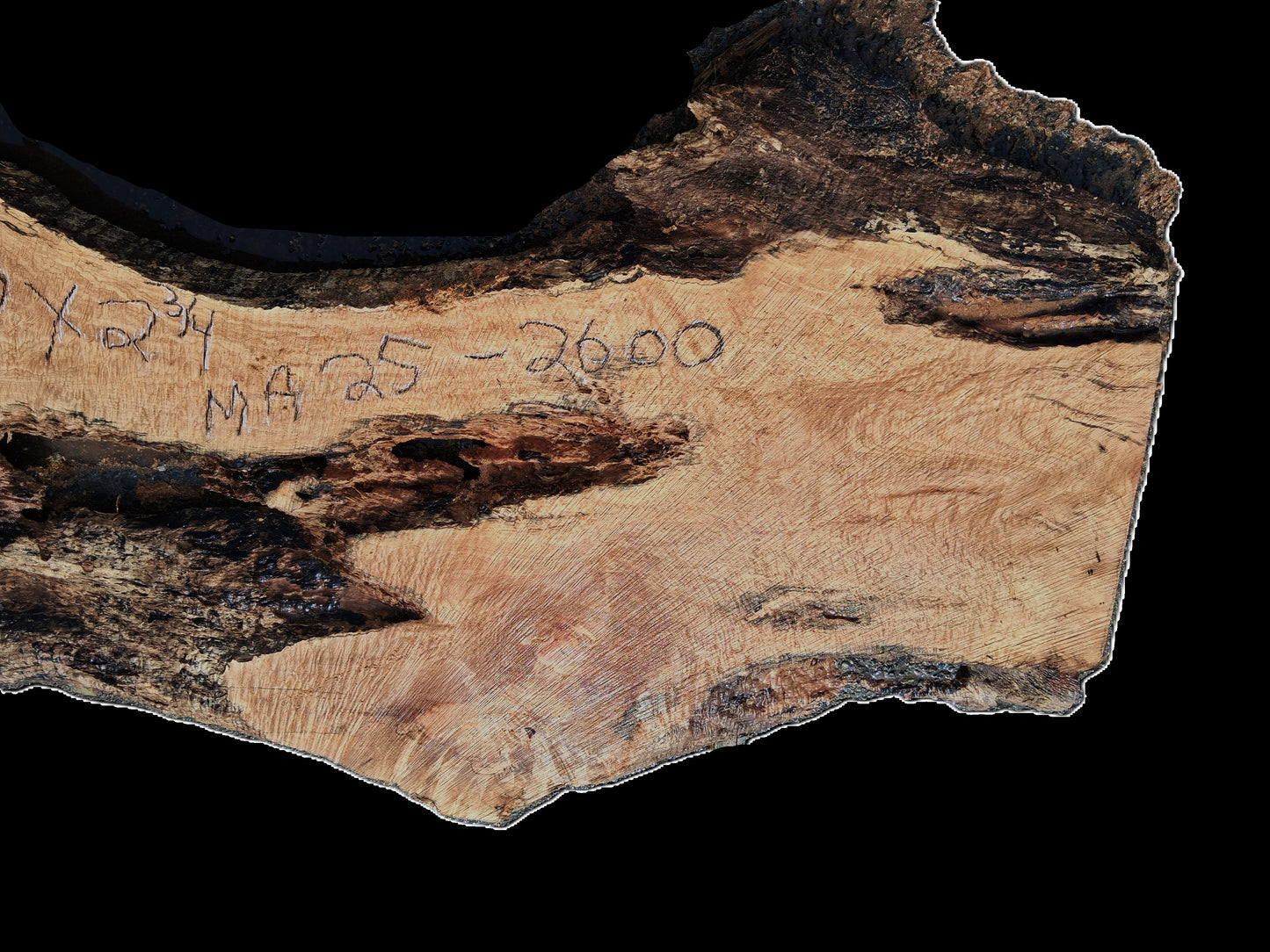 Maple Burl Slab | river table | DIY Crafts | Live Edge Table | MA25-0600