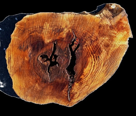 Maple Burl Cookie Cut | Live Edge | River Table | DIY | M25-2392