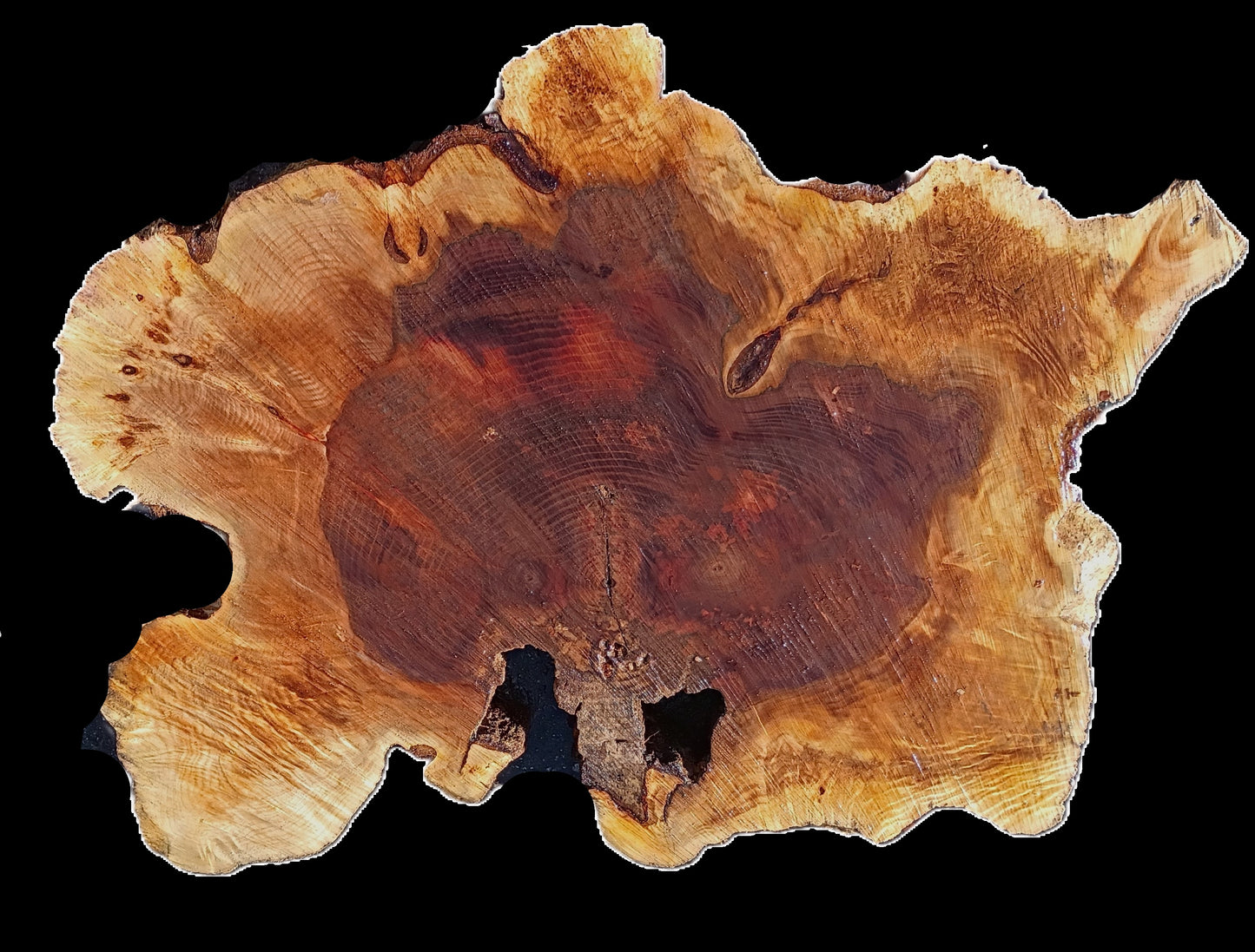 Maple Burl Slab | Live Edge | River Table | DIY | MA25-2394