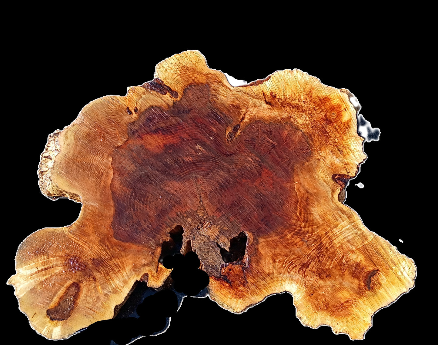 Maple Burl Slab | Live Edge | River Table | DIY | MA25-2395