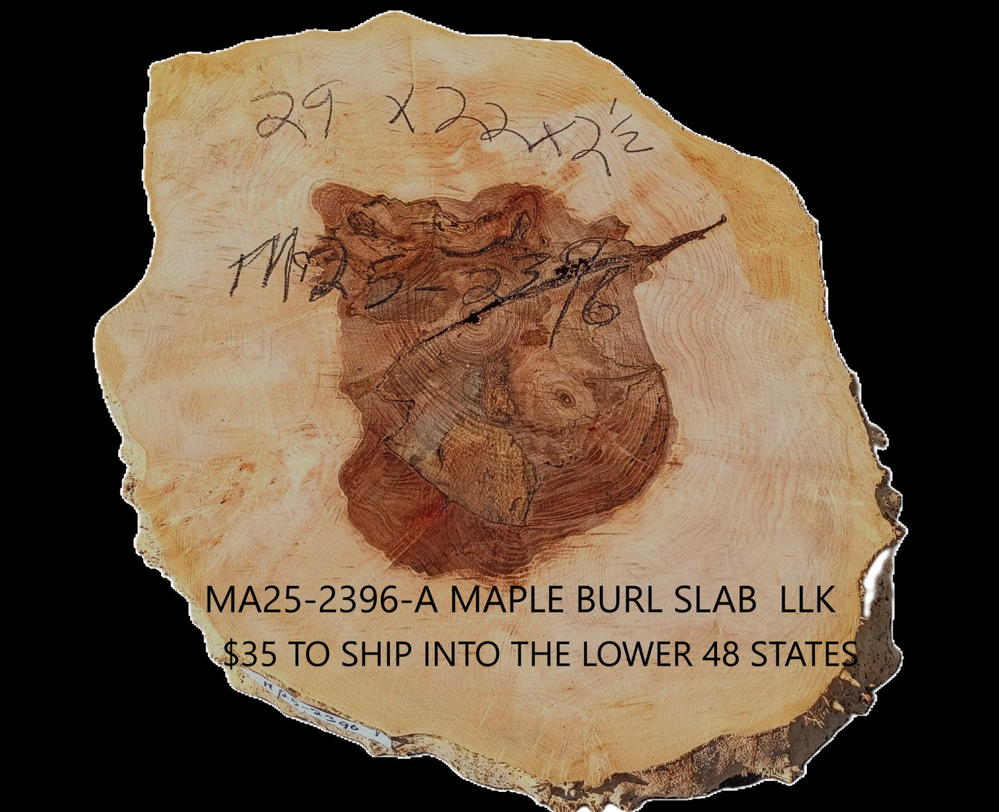 Maple Burl Slab | Live Edge | River Table | DIY | MA25-2396