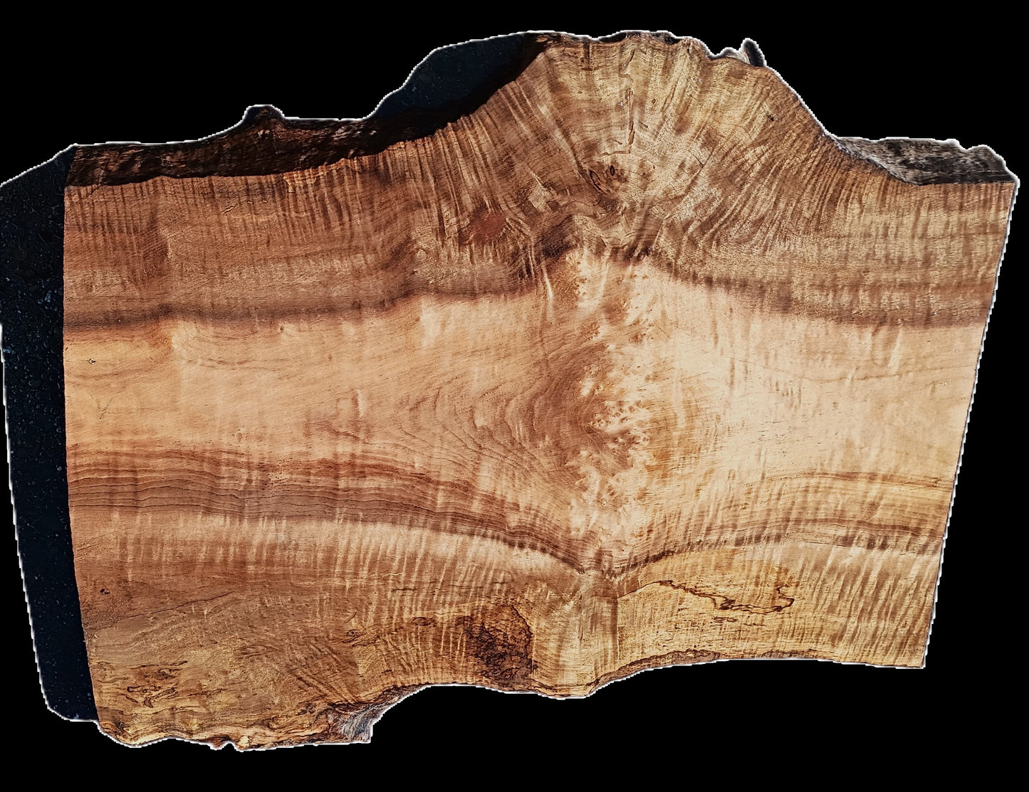 Curly Maple | DIY | guitar billet | Craft Wood | Luthier wood | Ma25-2405