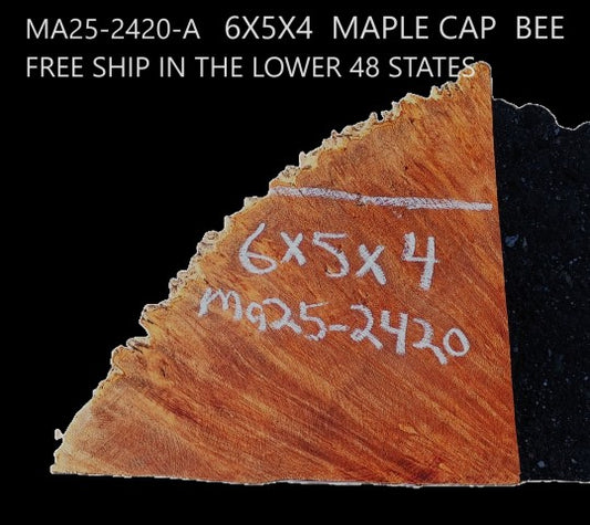 Maple Cap | Turning Wood | Craft Wood | DIY | MA25-2420