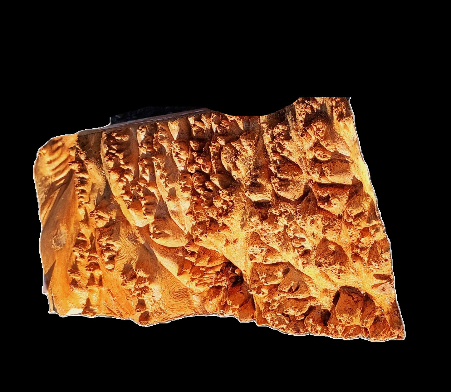 Maple Burl Cap | Wood Turning | Craftwoods | DIY | MA25-2426