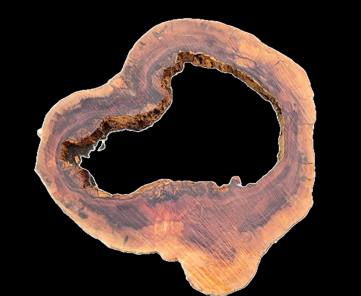 Maple Coockie Cut | Live Edge | DIY Crafts | River Table | Ma25-2510