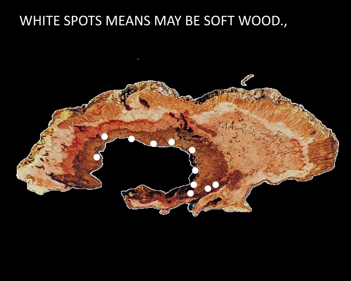 Maple Burl Slab | DIY River Table | Headboard | Burl Table | MA25-2517