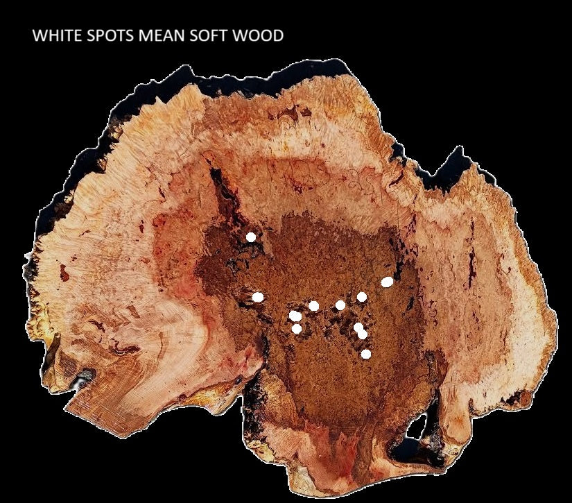 Maple Burl Slab | River Table | Headboard | DIY Burl Table | MA25-2519
