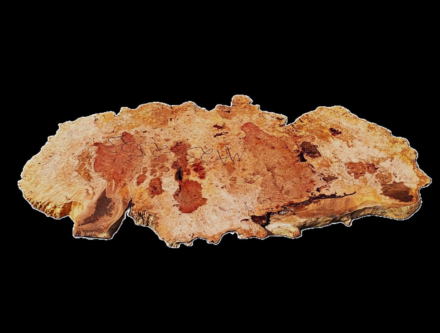 Maple Burl Slab | River Table | Headboard | Burl Table | MA25-2523