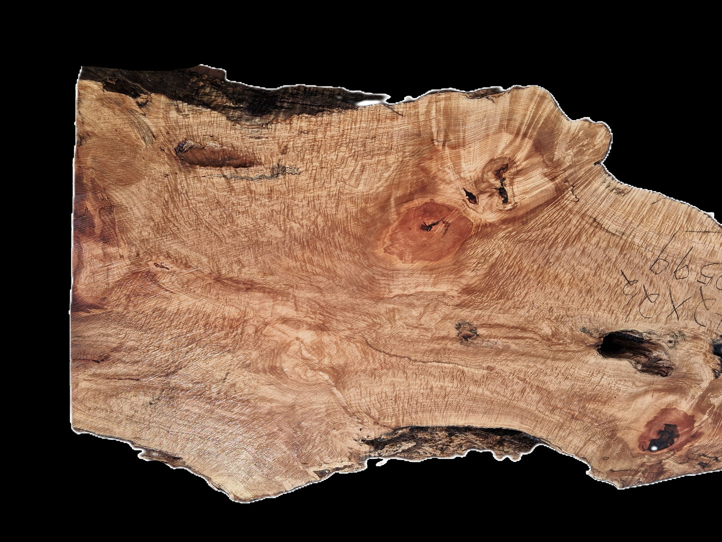 Maple Burl Slab | Live Edge Table | Headboard | Counter | MA25-2599