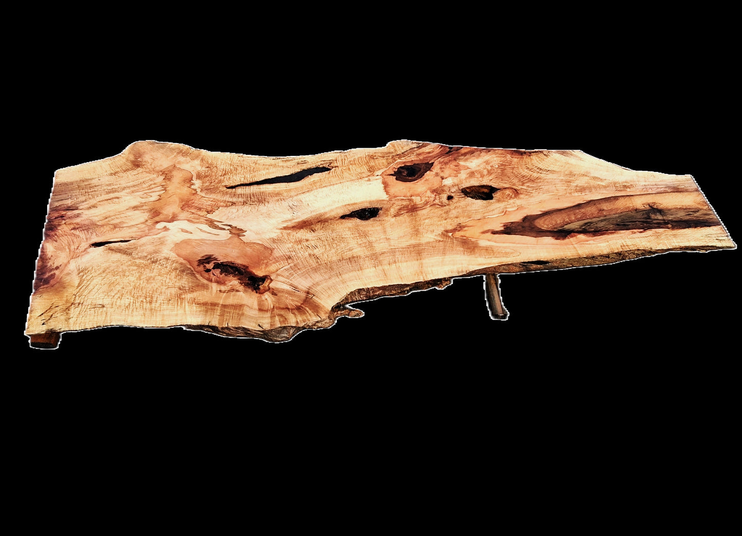 Maple Burl Slab | Live Edge Table | Headboard | Counter | MA25-2599