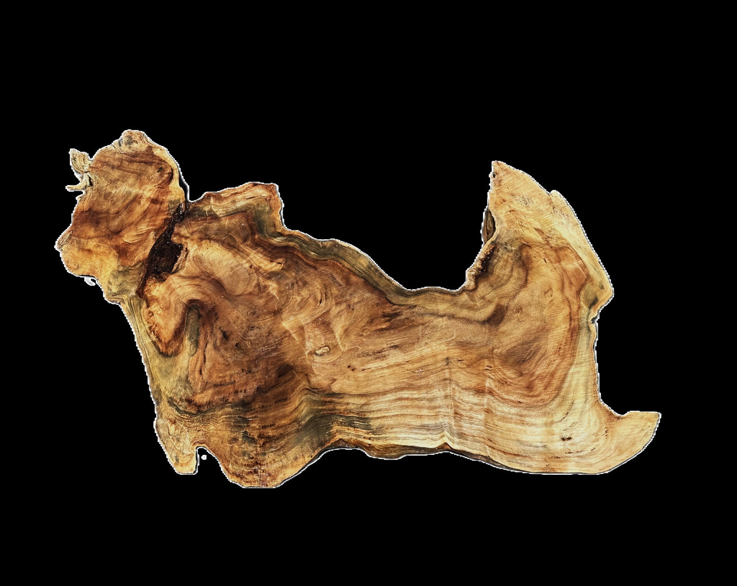 Spalted Maple Burl | Live Edge | River Table | DIY | MA25-2696