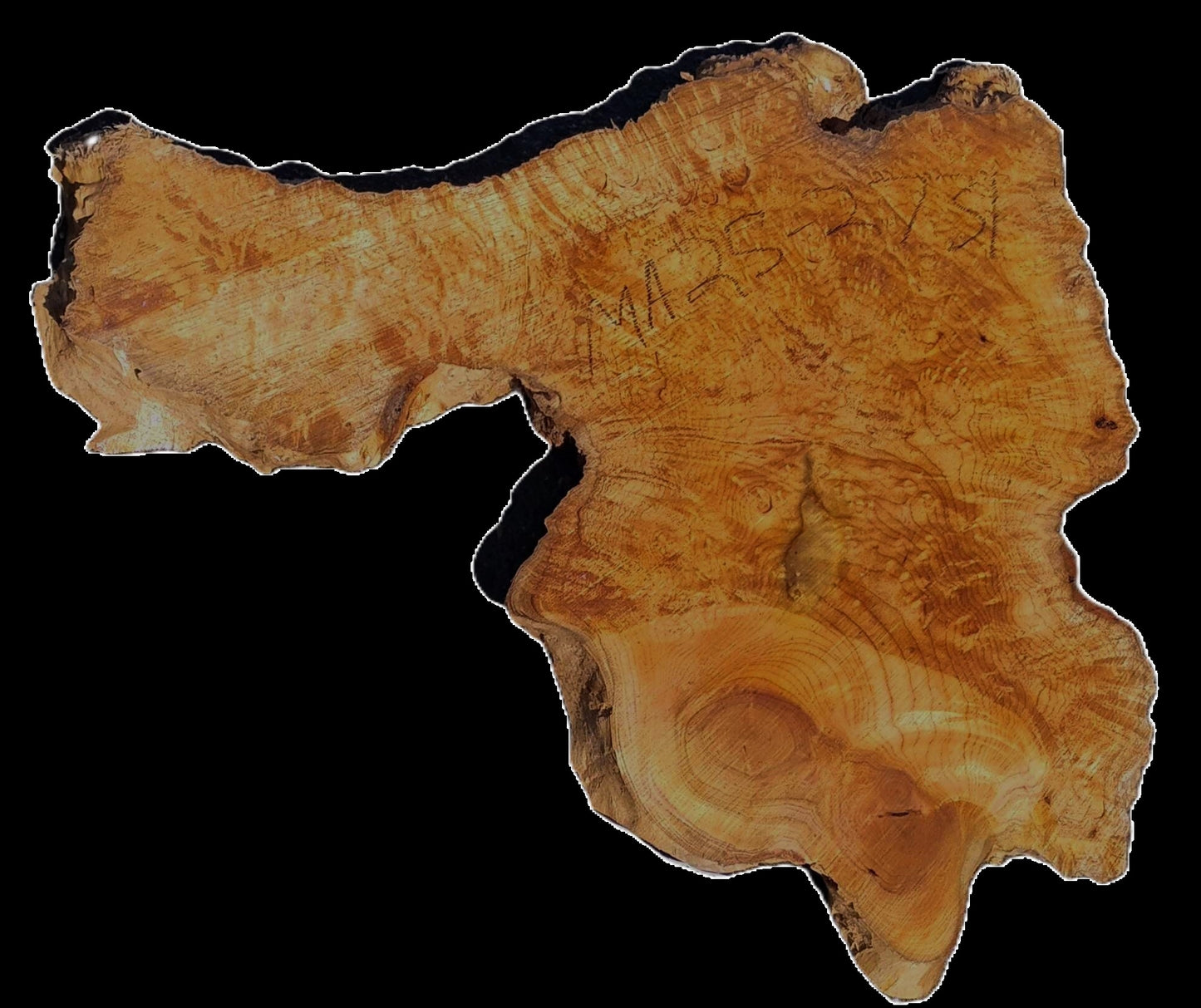 Maple Burl | Craftwoods | River Table | DIY | MA25-2731