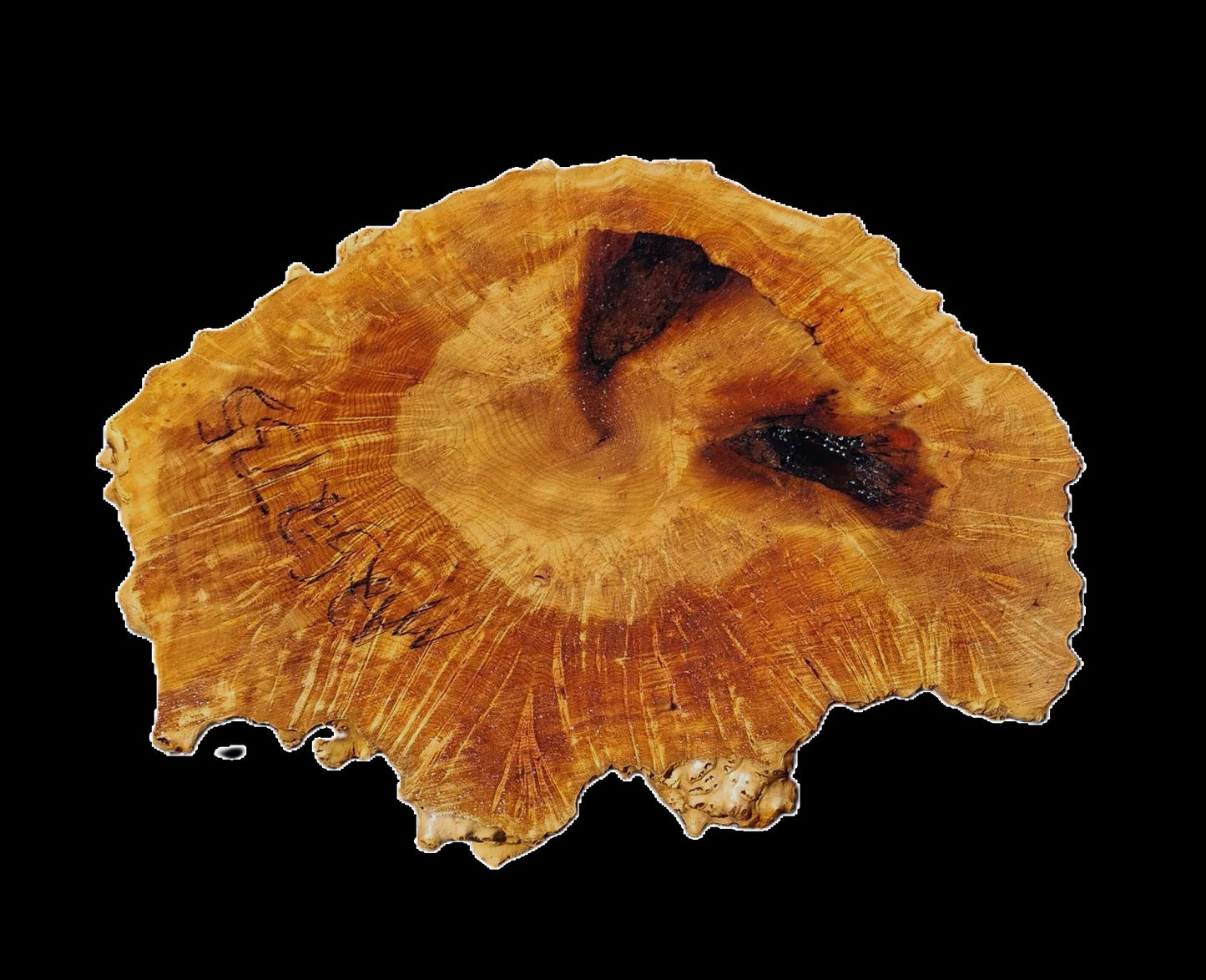 Maple Burl | Craftwoods | River Table | DIY | MA25-2735