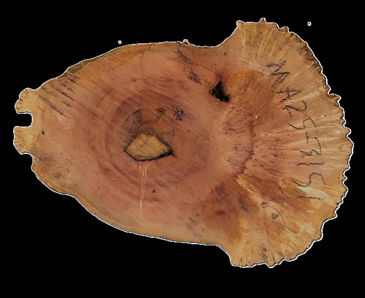 Maple Burl | Live Edge | River Table | DIY | Ma25-3151