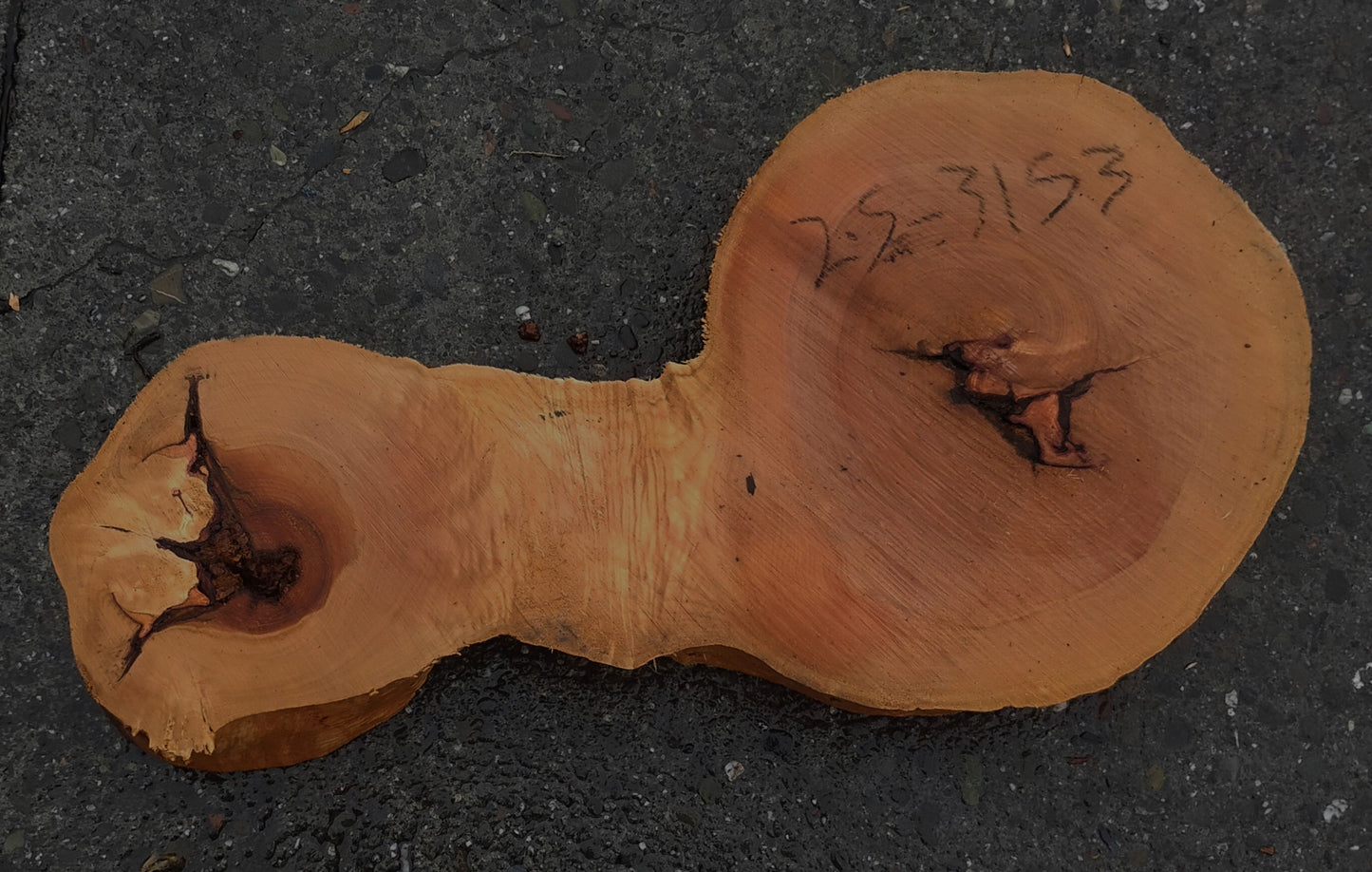 Maple Burl | Live Edge | River Table | DIY | Ma25-3153
