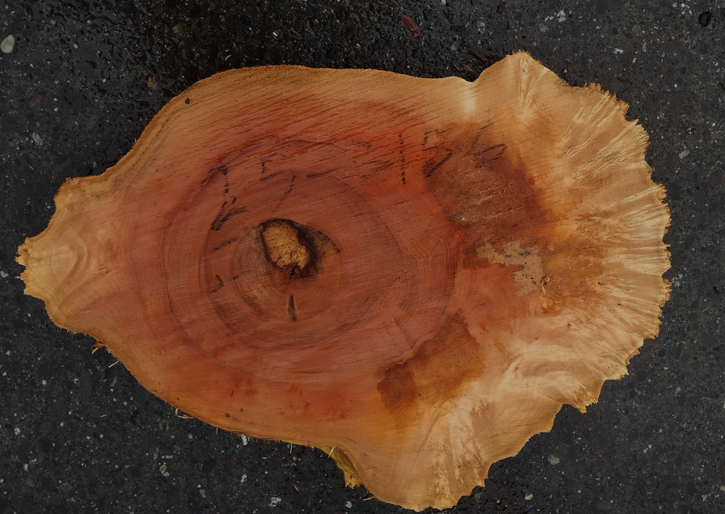 Maple Burl | Live Edge | River Table | DIY | Ma25-3156
