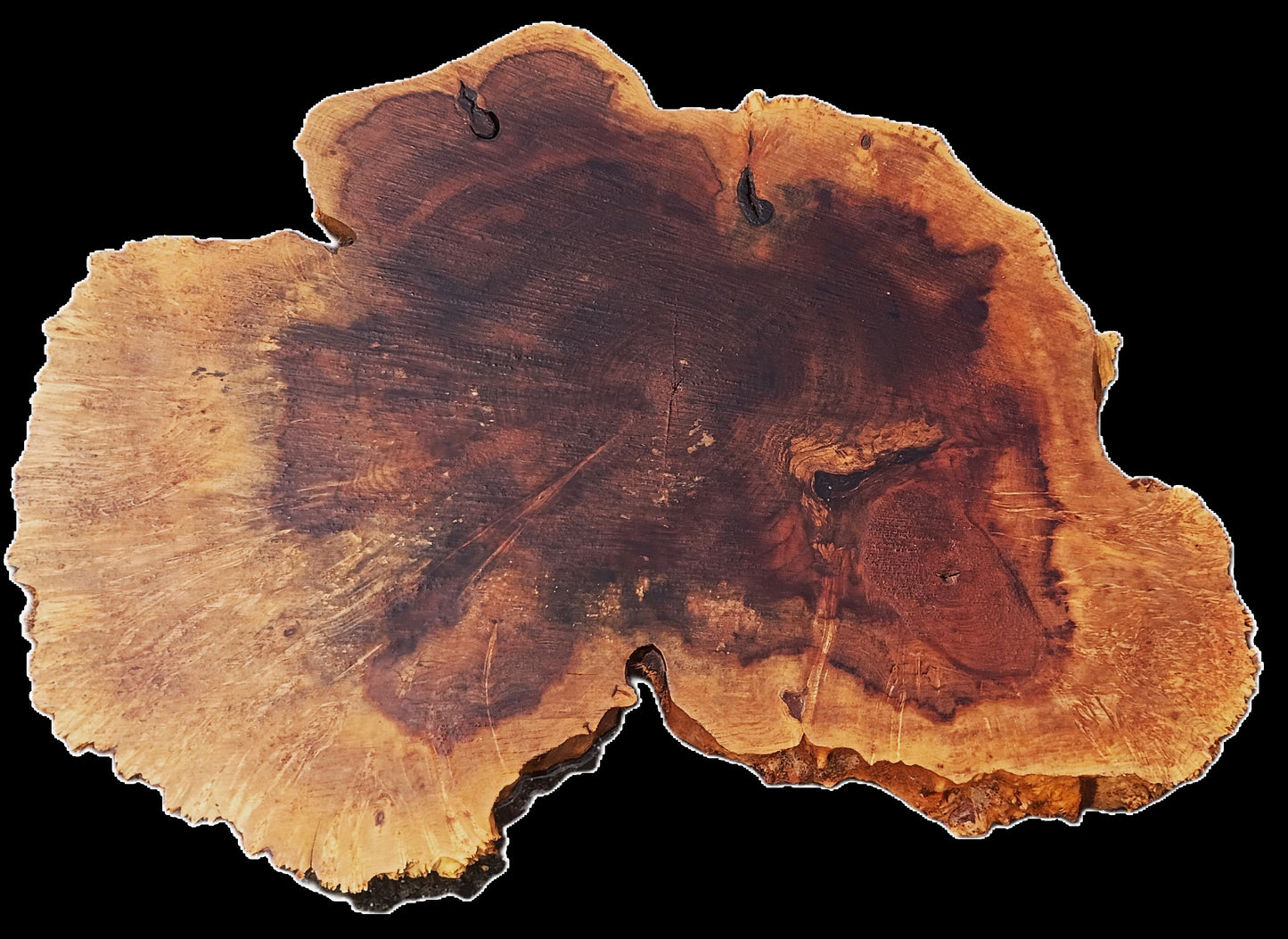 Maple Burl | Live Edge | River Table | DIY | Ma25-3161