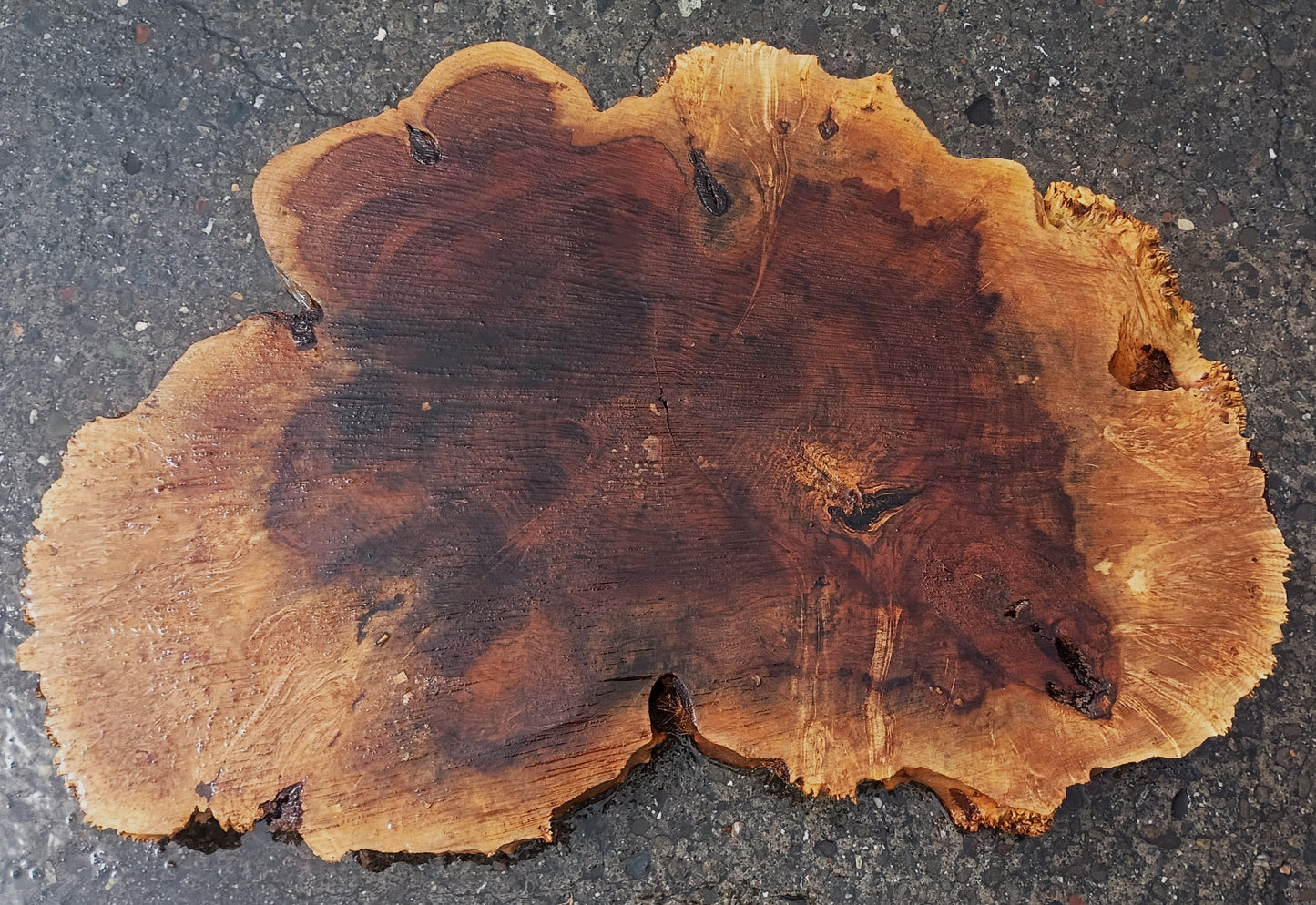 Maple Burl | Live Edge | River Table | DIY | Ma25-3166