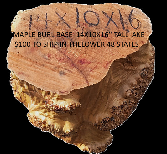 Maple Burl Base | Trophy Mount | Table Base | DIY | MAB25-0001