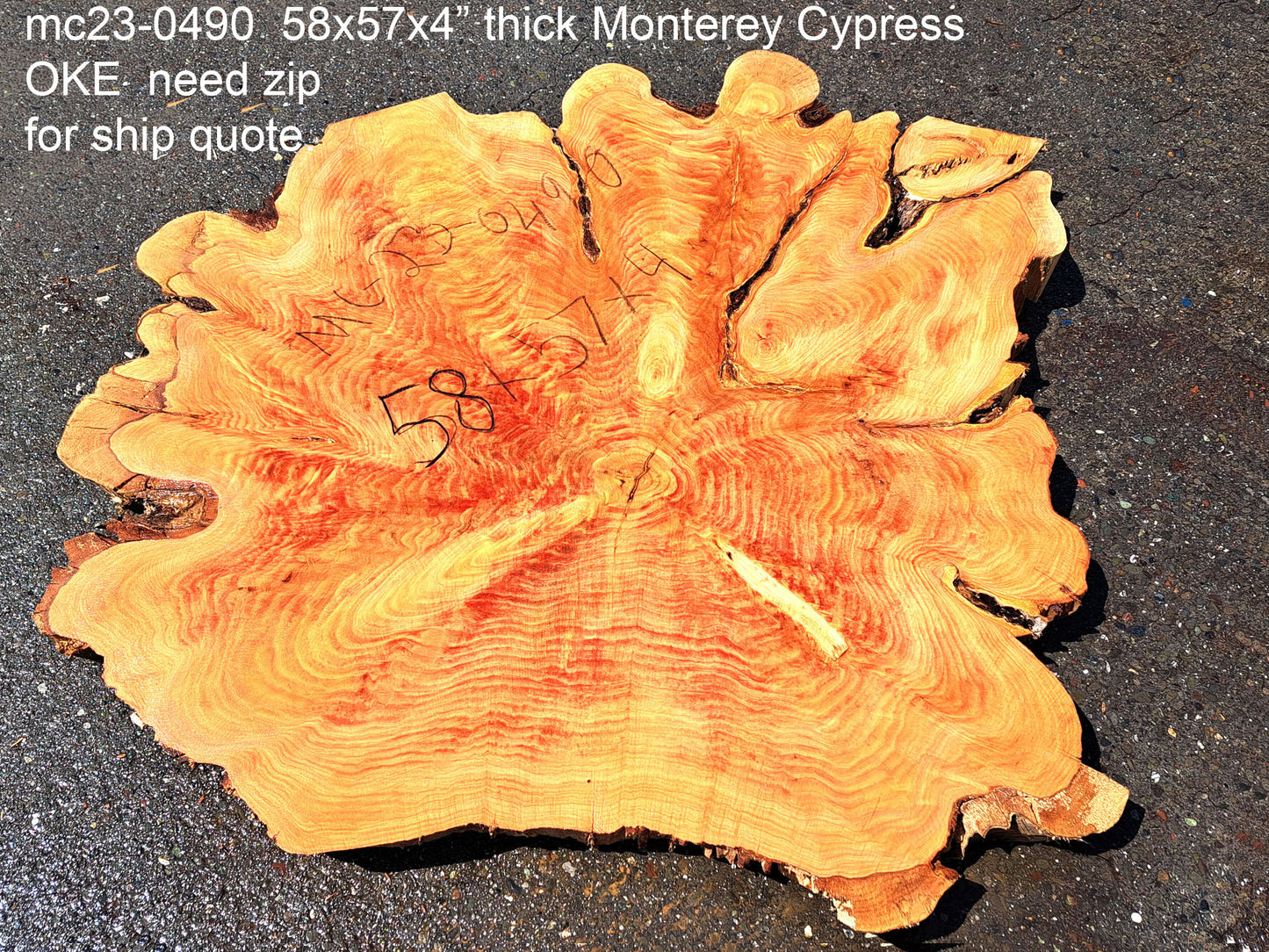 Monterey Cypress | cookie cut | live edge | DIY wood | burl table | r23-0490