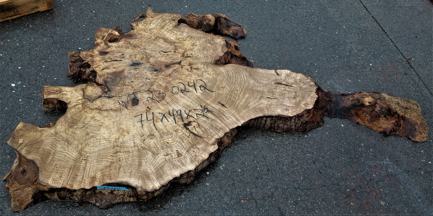 Myrtle burl | epoxy river table | exotic wood | Bay Laurel | DIY | mrt23-0242