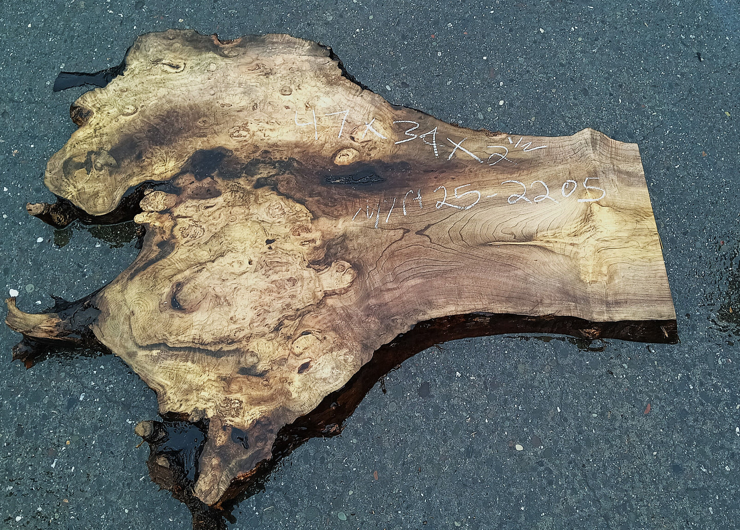 Myrtle Wood Burl Slab | Bay Laurel | Live Edge | River Table | DIY | Mrt25-2205