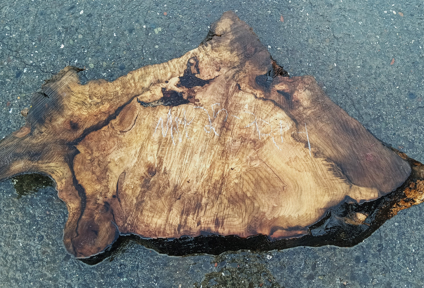 Myrtle Burl Slab | DIY | Table | Craft Wood | Wall Art | Mrt25-2214