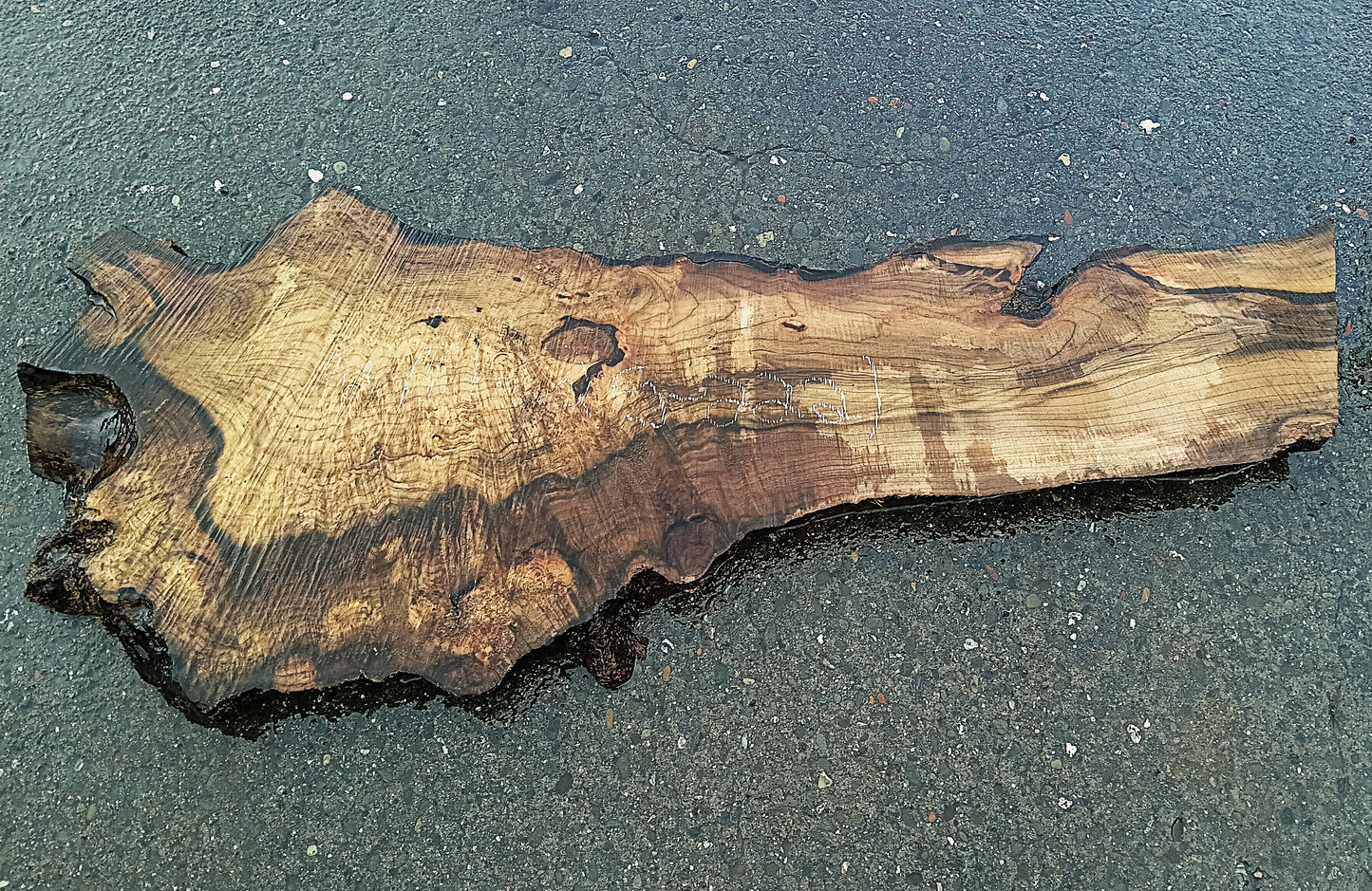 Myrtle Burl Slab | DIY | Table | Craft Wood | River Table | Mrt25-2221