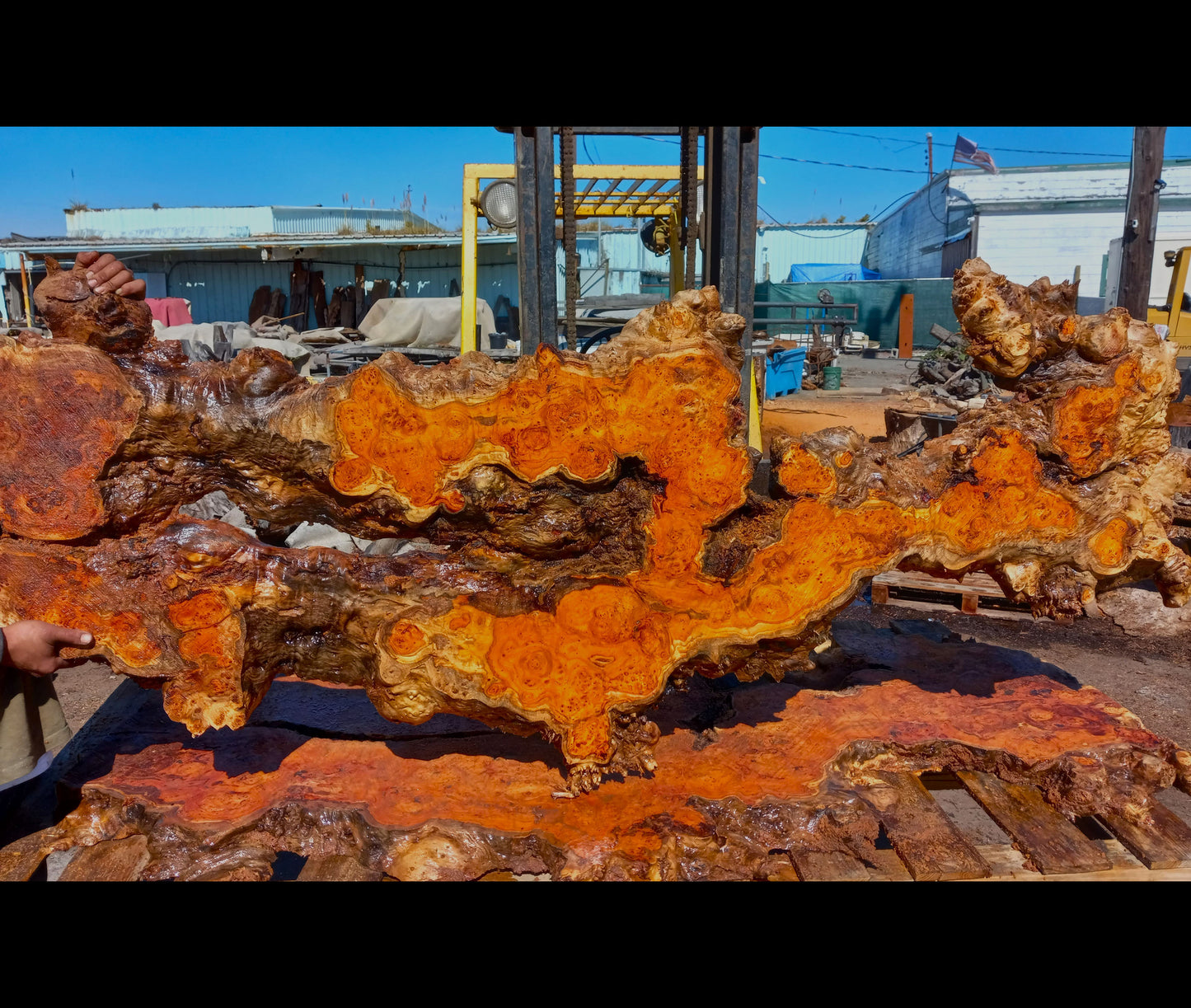 Mappa burl | Poplar | river table | live edge slab | DIY ideas | mappa-burl-12