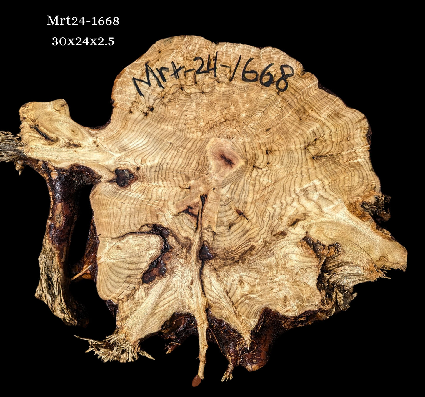 Myrtle Wood | Burl slab | Epoxy River Table | DIY Wood | Mrt24-1668