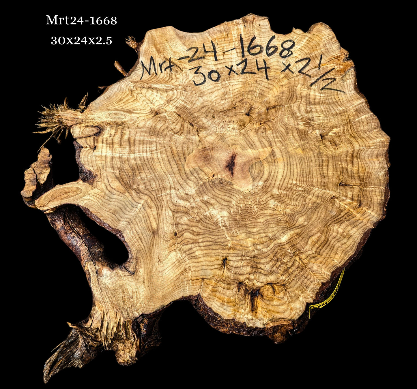 Myrtle Wood | Burl slab | Epoxy River Table | DIY Wood | Mrt24-1668